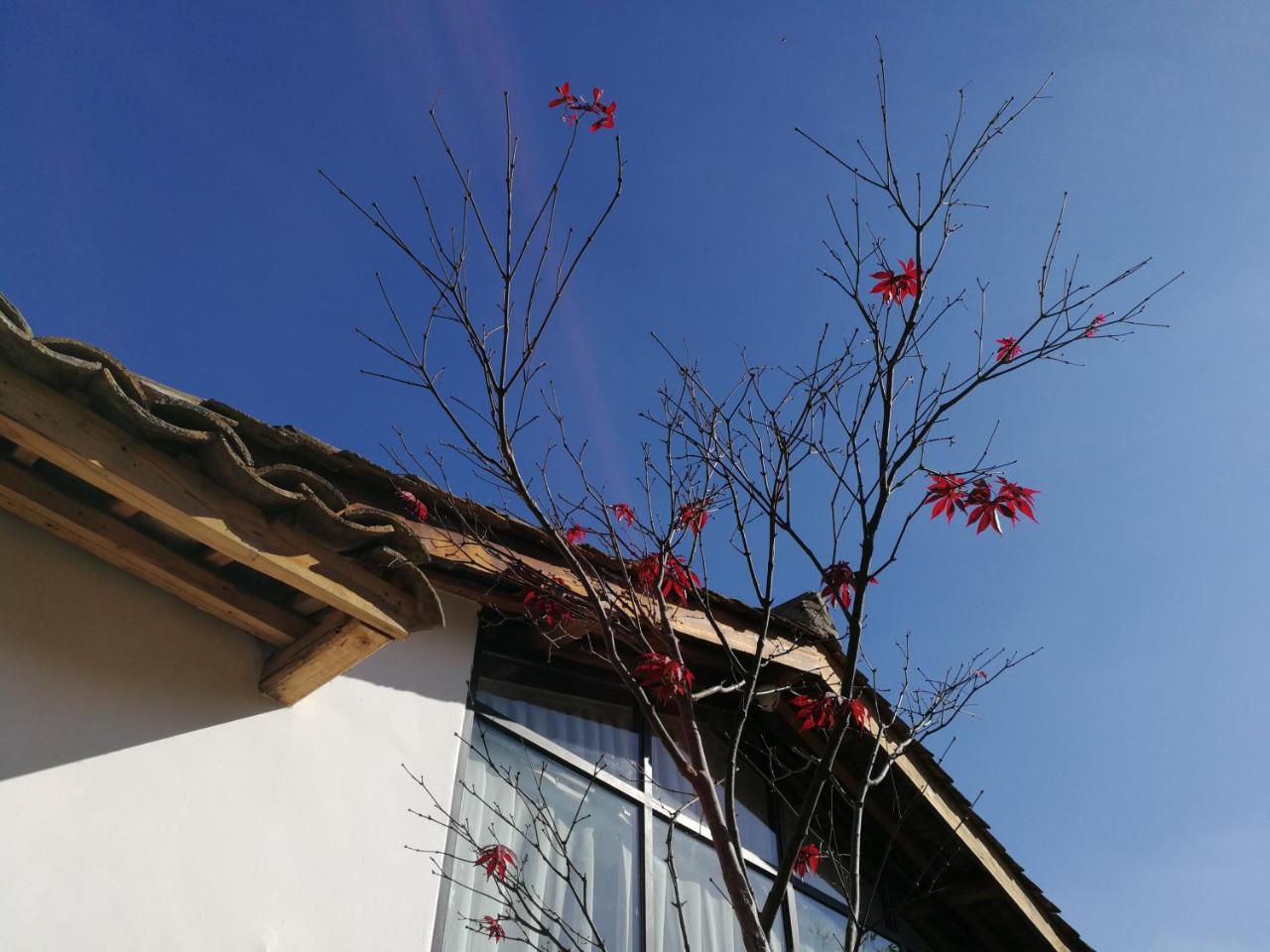 Yan Qi Si He Homestay Kunming Eksteriør billede